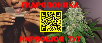 не бодяженный Будённовск