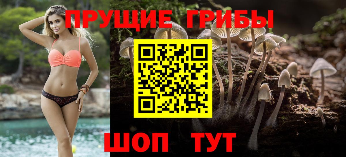 Галлюциногенные грибы Psilocybe  Вход с VPN  Туапсе 